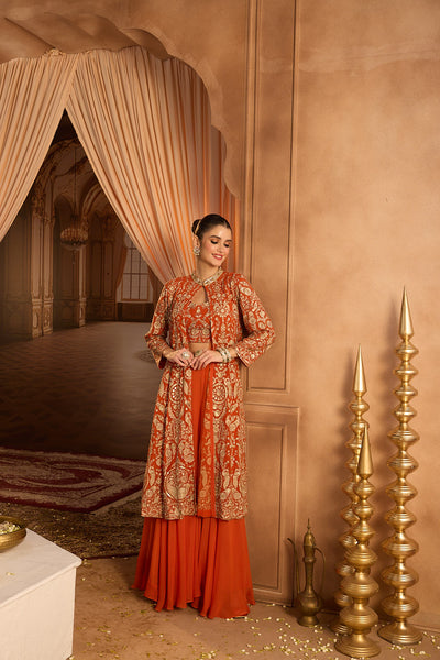 Neerus Rust Embroidery Georgette Fabric Fusion Set.