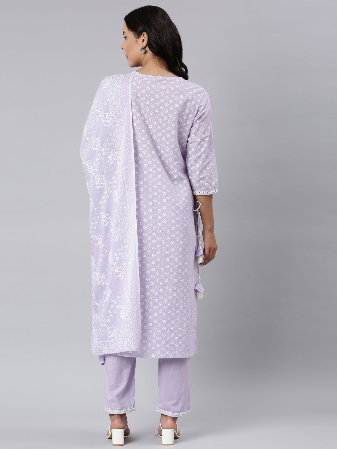 Neerus Lavender Panelled Straight Yoke Design Kurta And Trousers With Dupatta