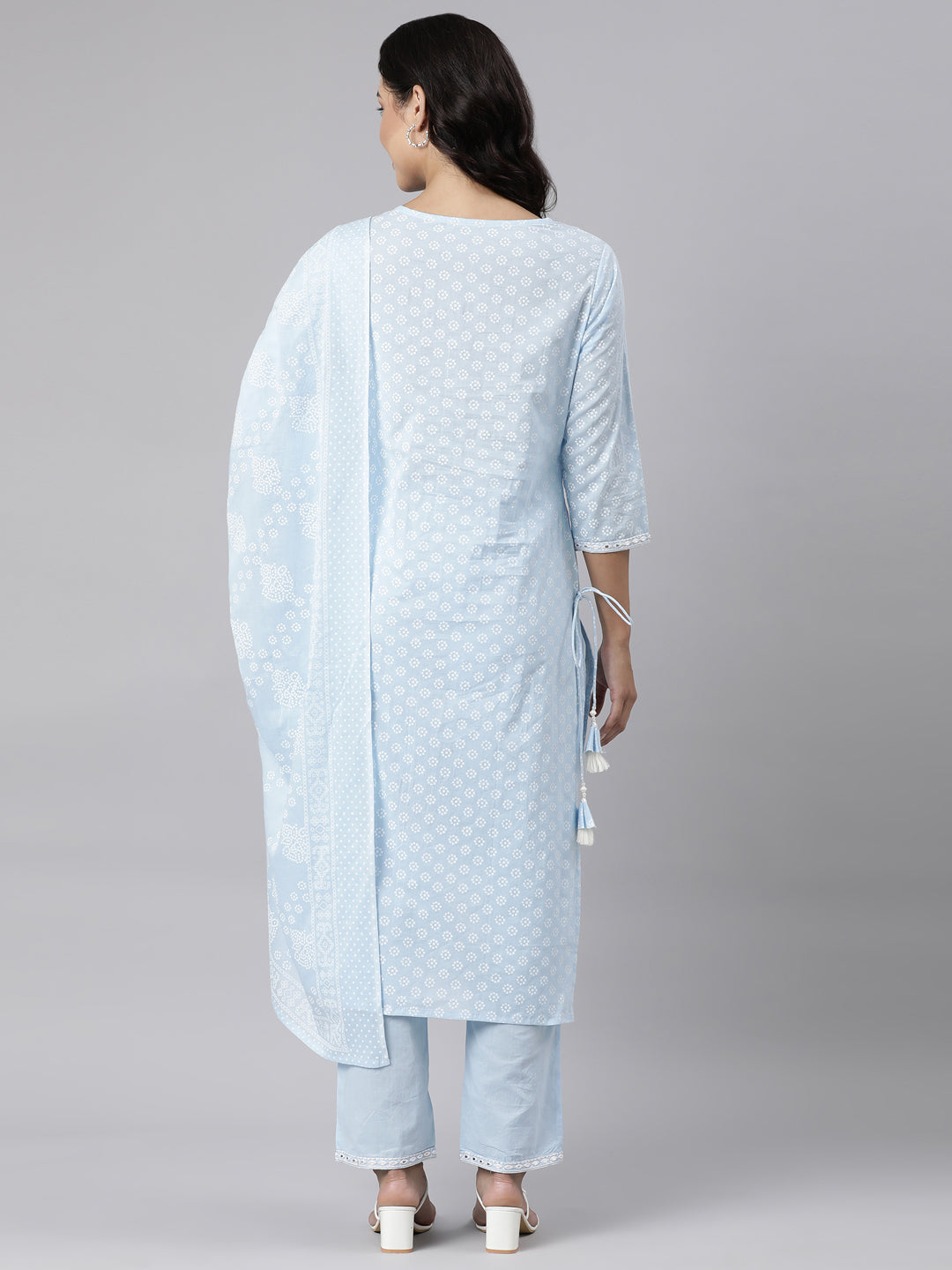 Neerus Blue Panelled Straight Yoke Design Kurta And Trousers With Dupatta