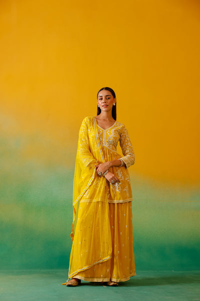 Neerus Yellow Embroidery Georgette Fabric Suit Set.